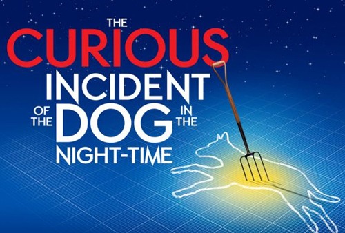 curious incident of the dog in the night-time